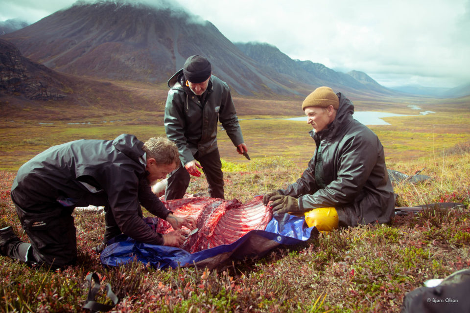 Bjorn Olson, Caribou Hunting, Alaska