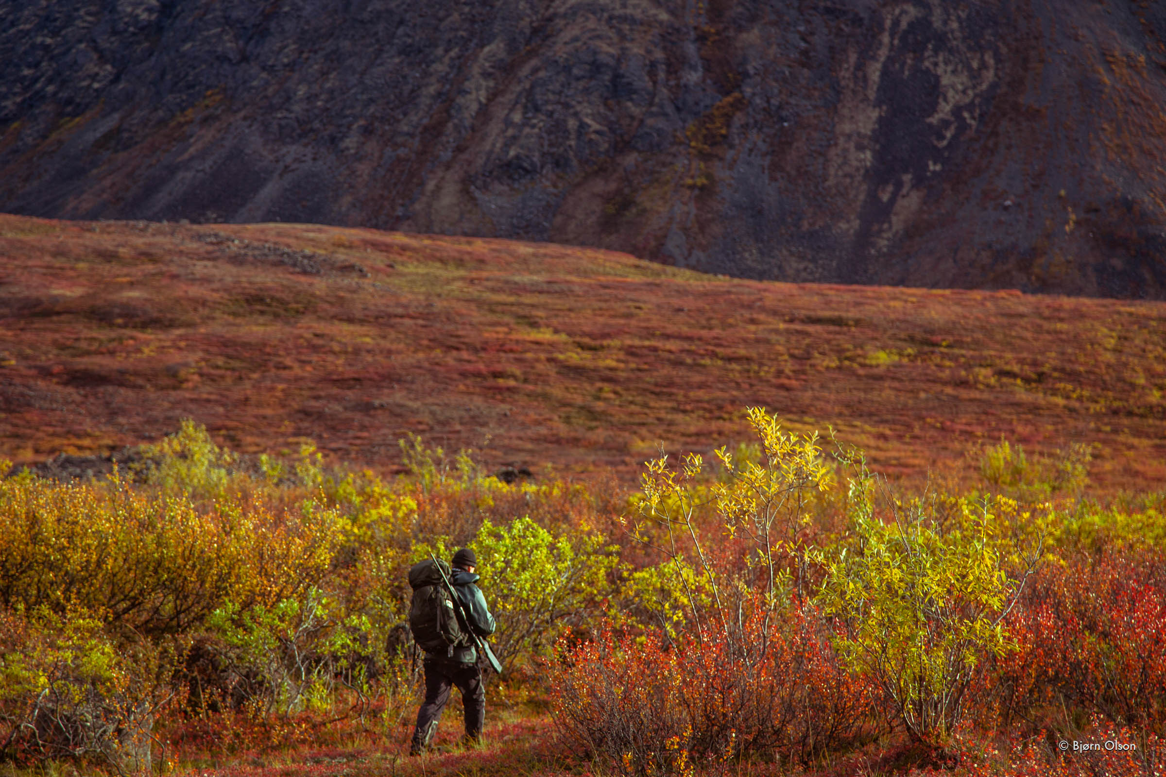 Bjorn Olson, Caribou Hunting, Alaska