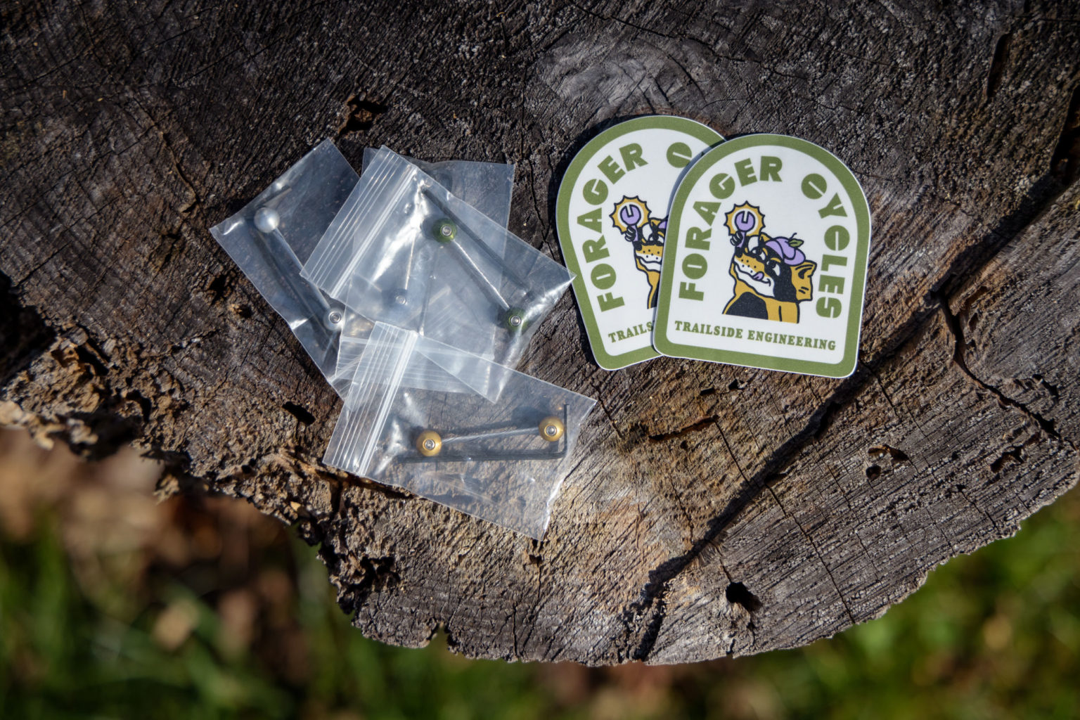 Forager Cycles Cable Cherries First Look