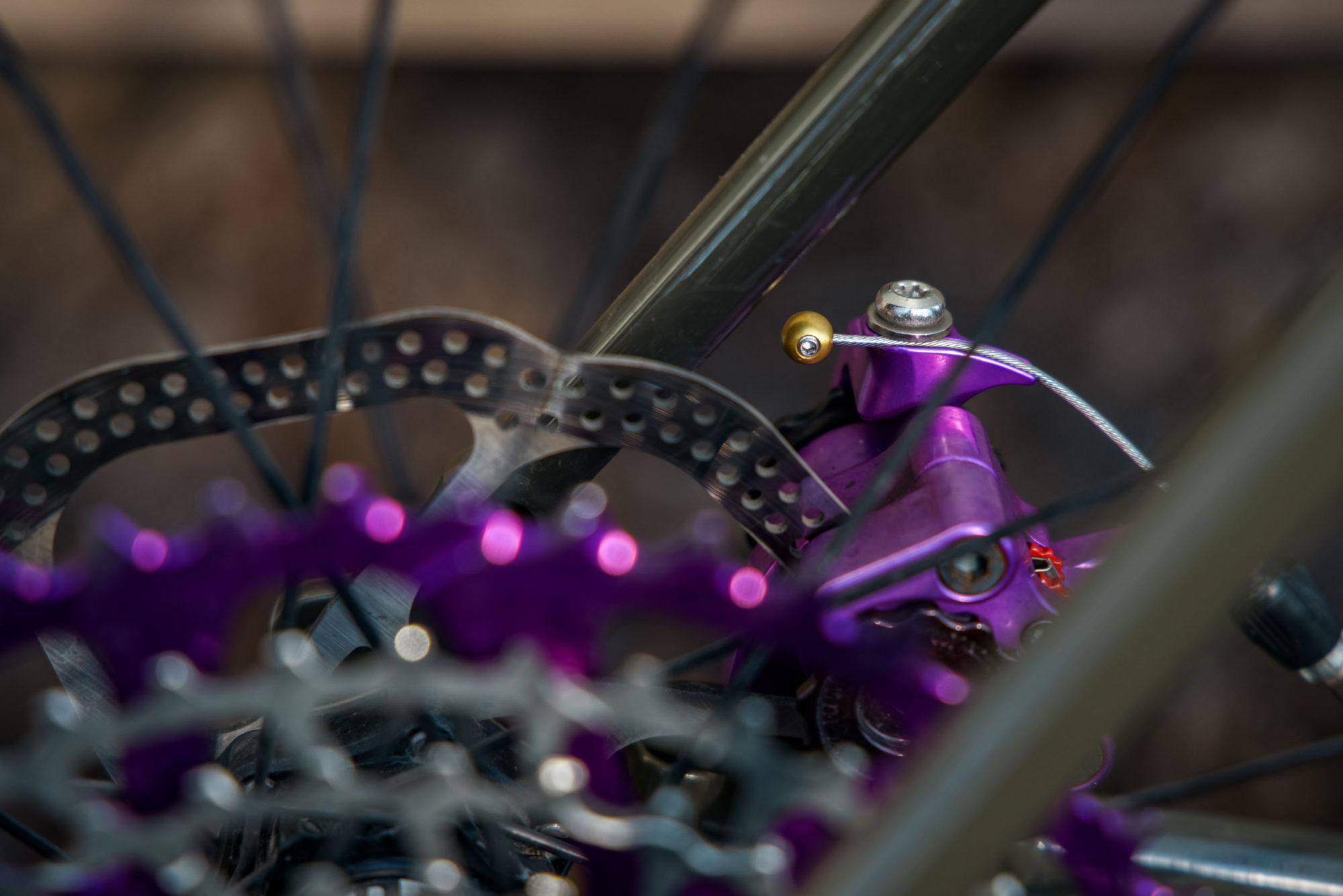 Forager Cycles Cable Cherries