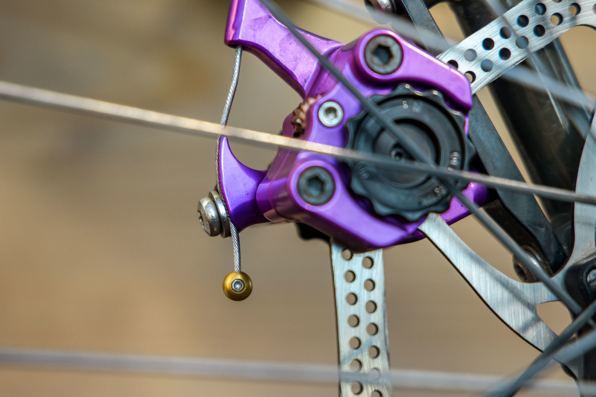 Forager Cycles Cable Cherries First Look