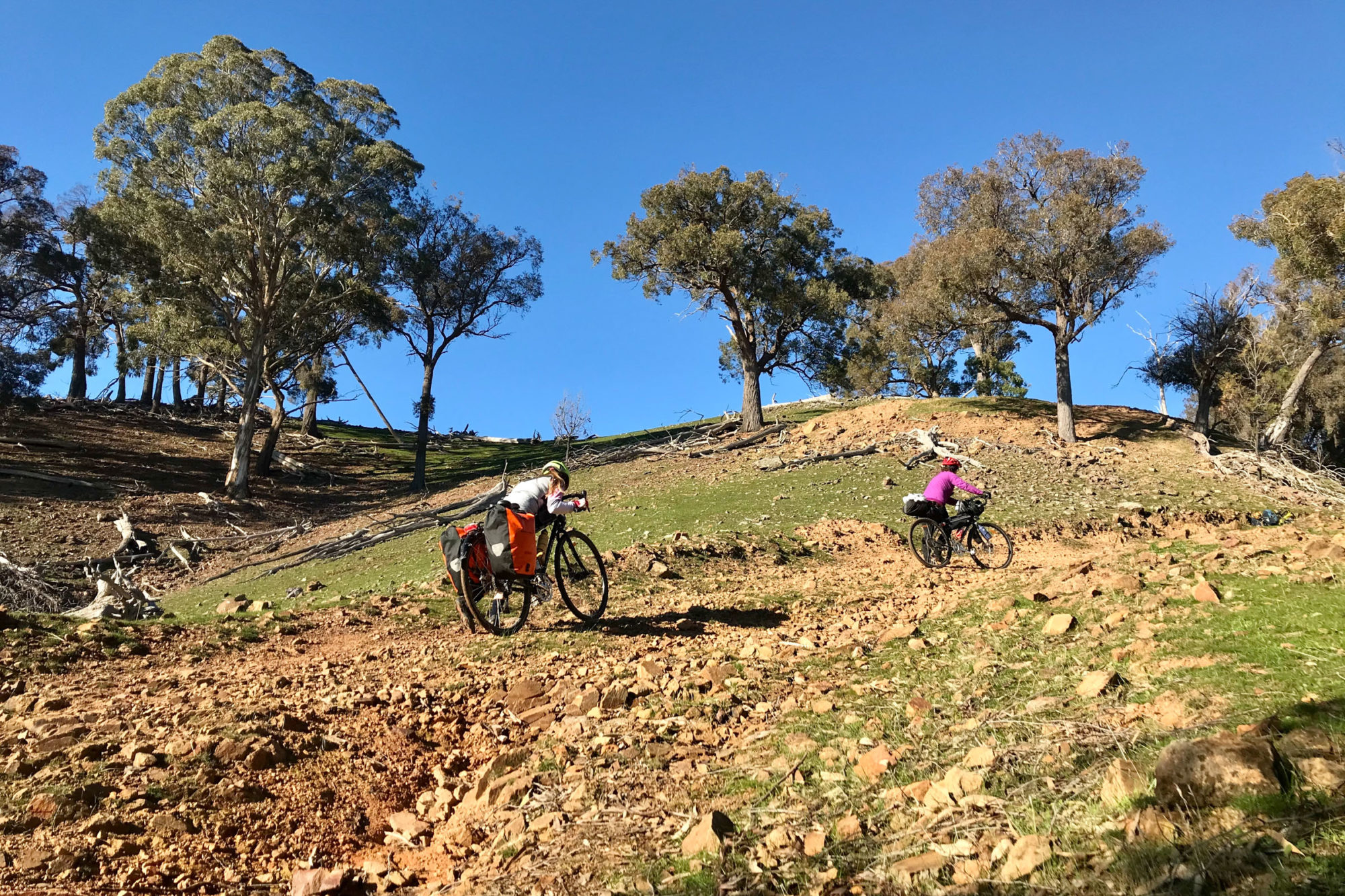 2020 GDT 400 Event Recap