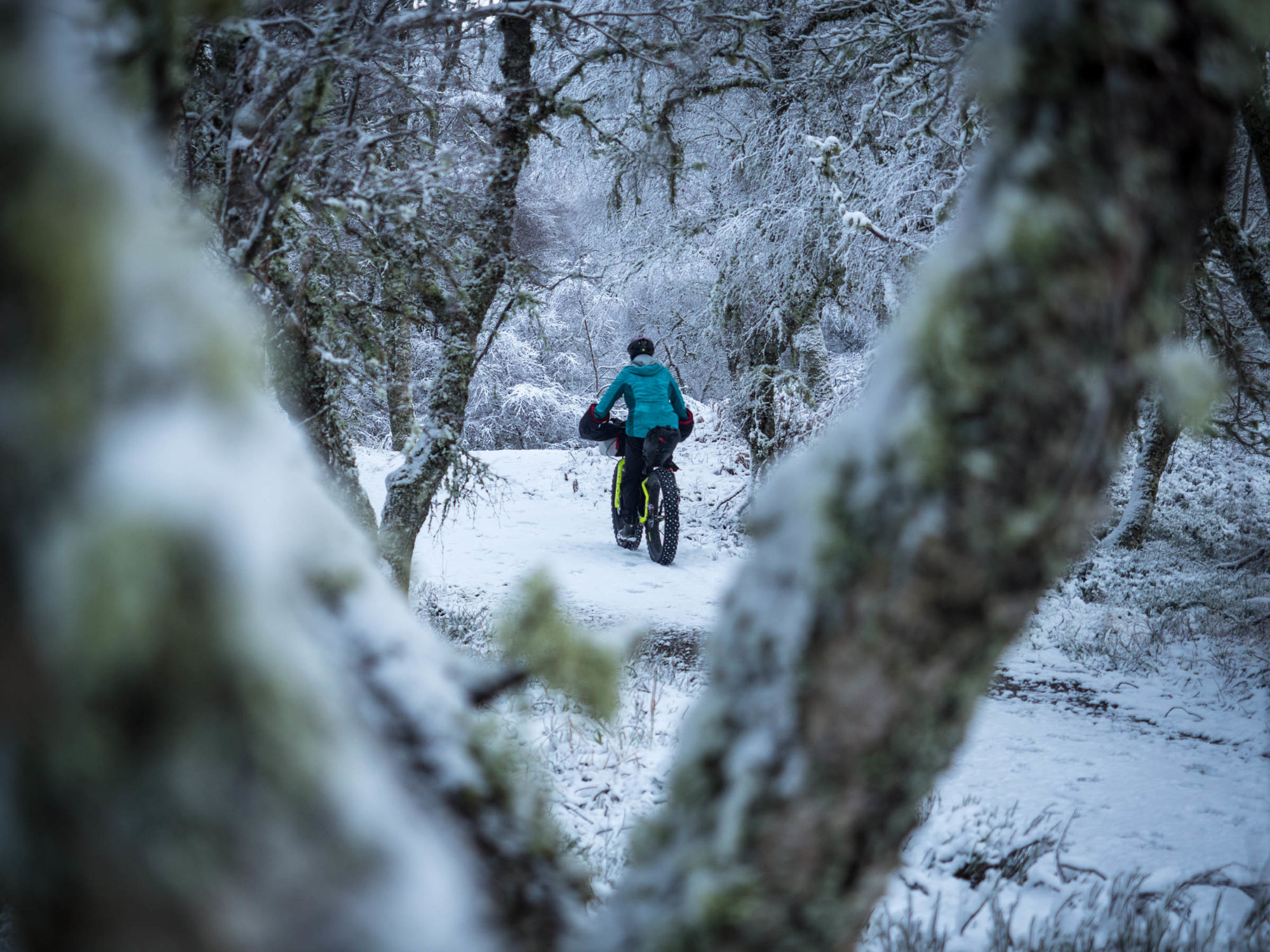 Cairngorms Winter Bikepacking