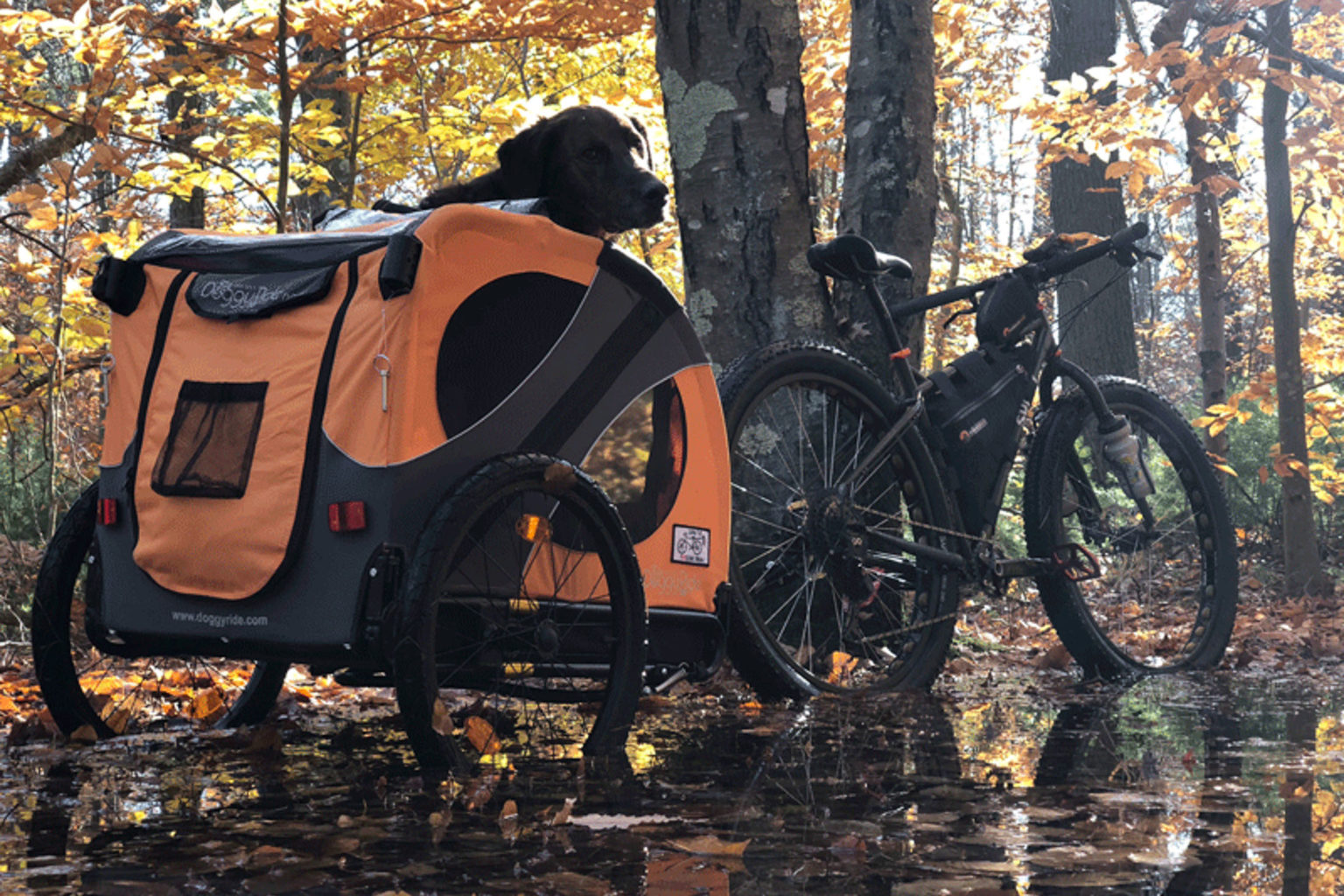 bob mountain bike trailer