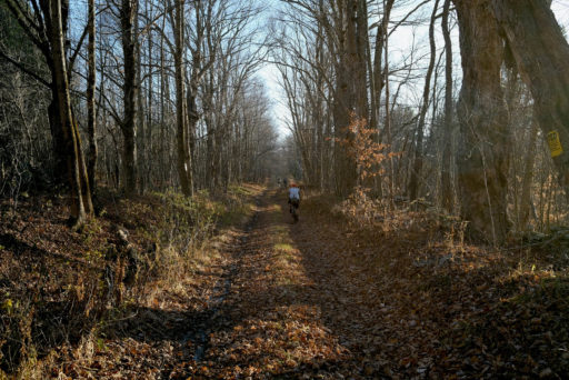 Delaware County Catskills Dirt Circuit, overnighter bikepacking route