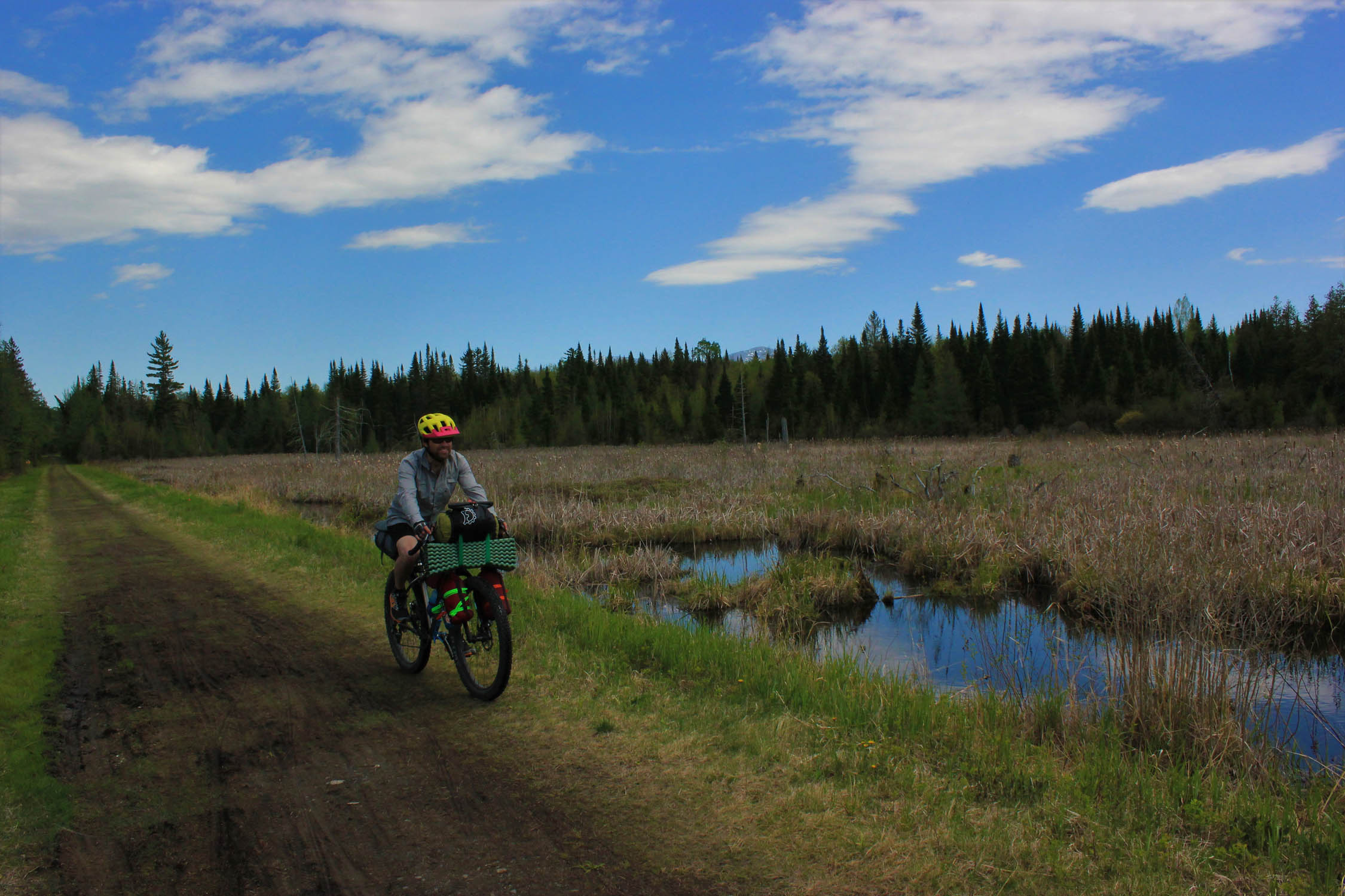 fish tagging  Mountains to Marsh