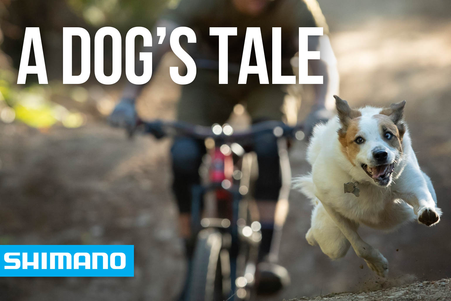 A Dog's Tale, Trail Dog