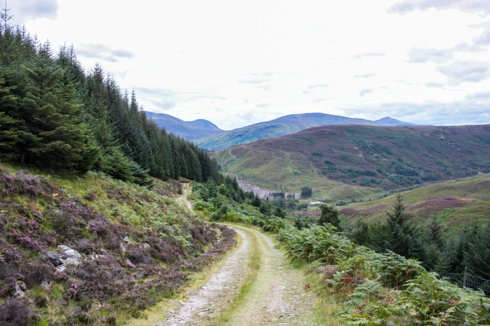 Scottish Highlands, Cairngorms