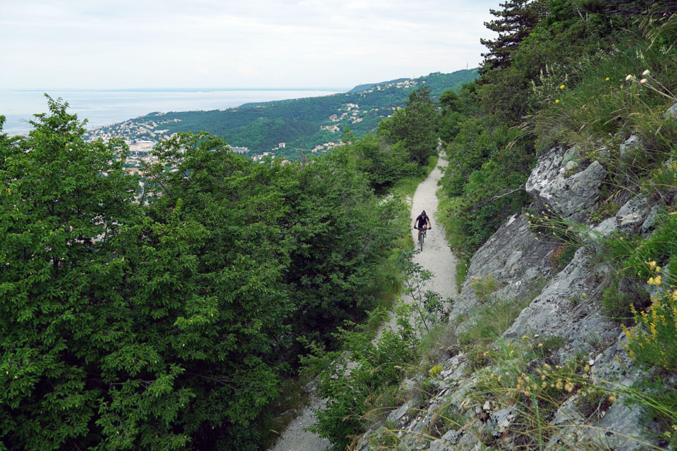 2021 Carso Trail