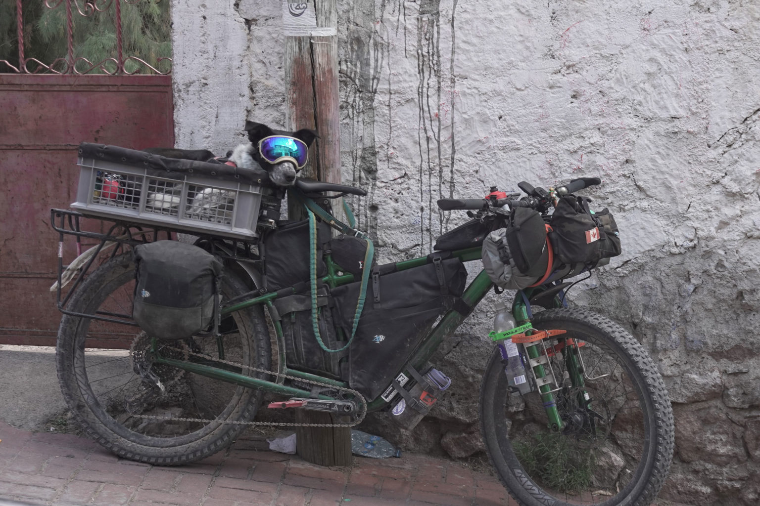 https://bikepacking.com/wp-content/uploads/2021/07/dogpacking-2_2-1536x1024.jpg