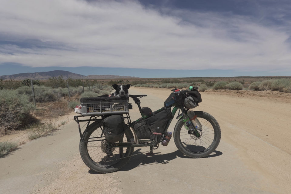 Dogpacking, Bikepacking with your dog