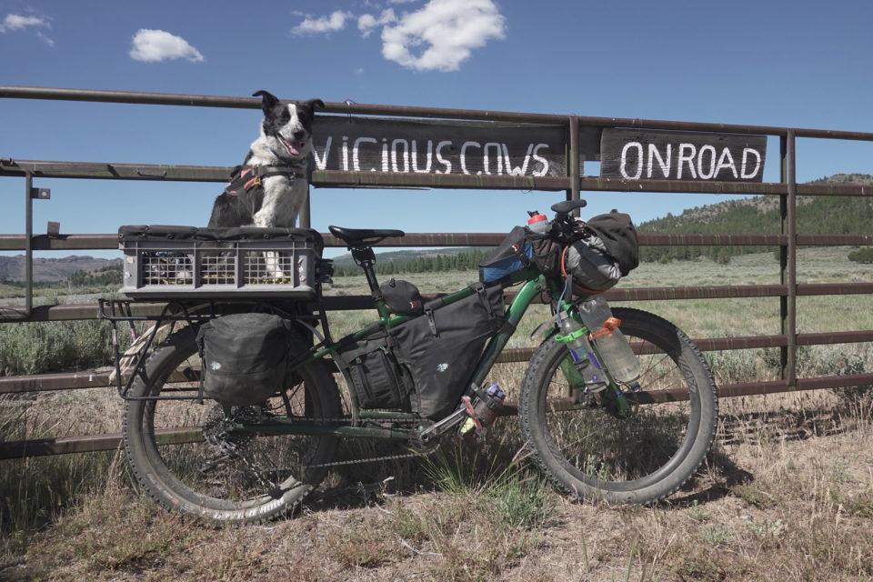 Dogpacking 2.0 A Guide to Bikepacking with Your Dog