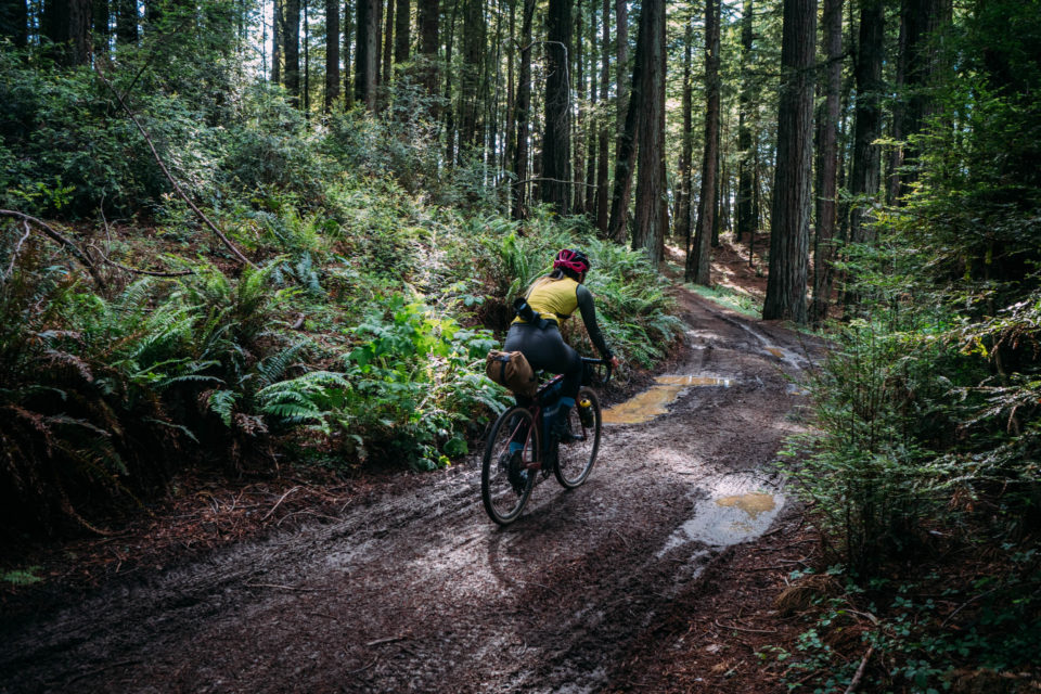 North Bay Overnighter: A Tour of Microclimates