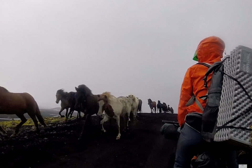 Bikepacking the Iceland Divide Plus (Video)