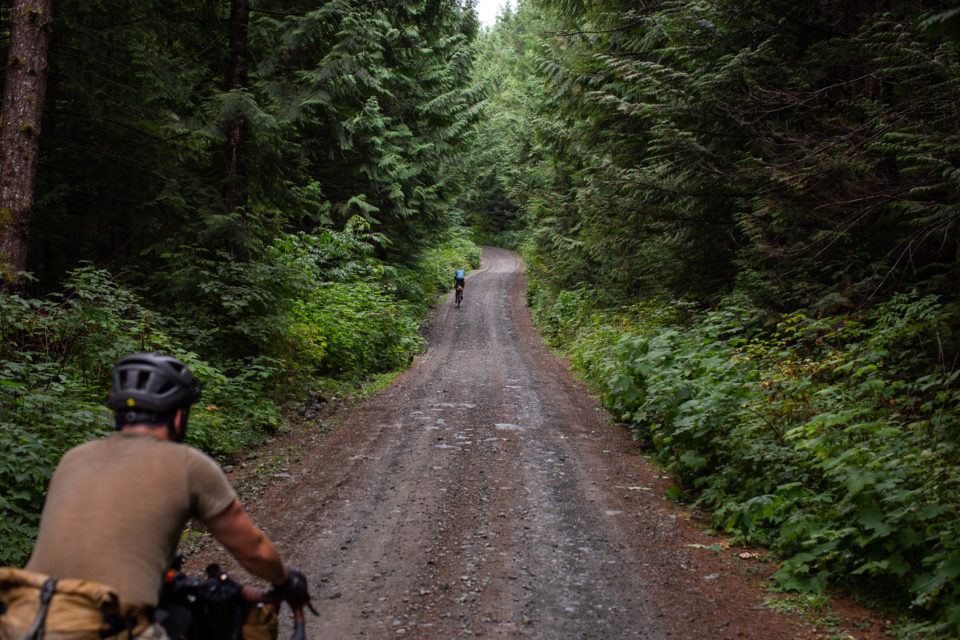 Tree To Sea Loop, Vancouver Island