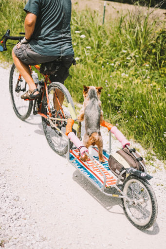 Cormac Berry’s Tasty Lolli bikepacking route, Missouri