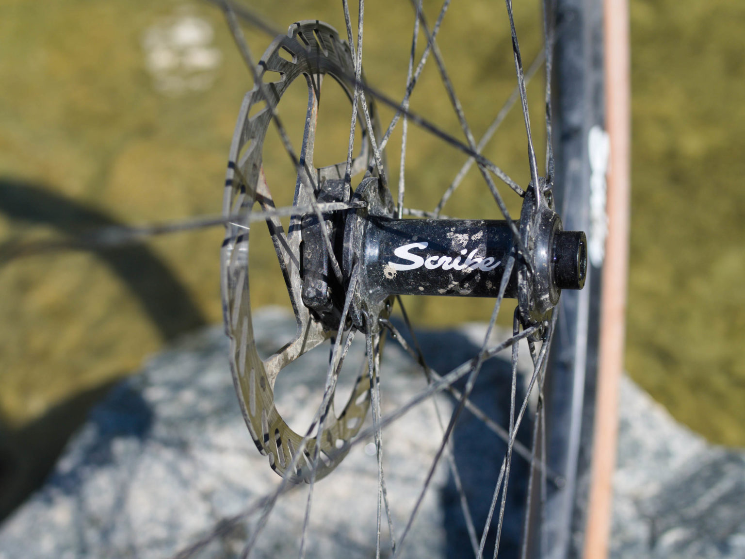 scribe gravel wheels review