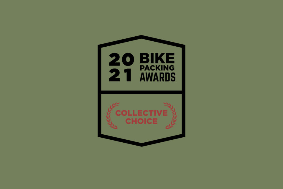 2021 Collective Choice Awards Survey