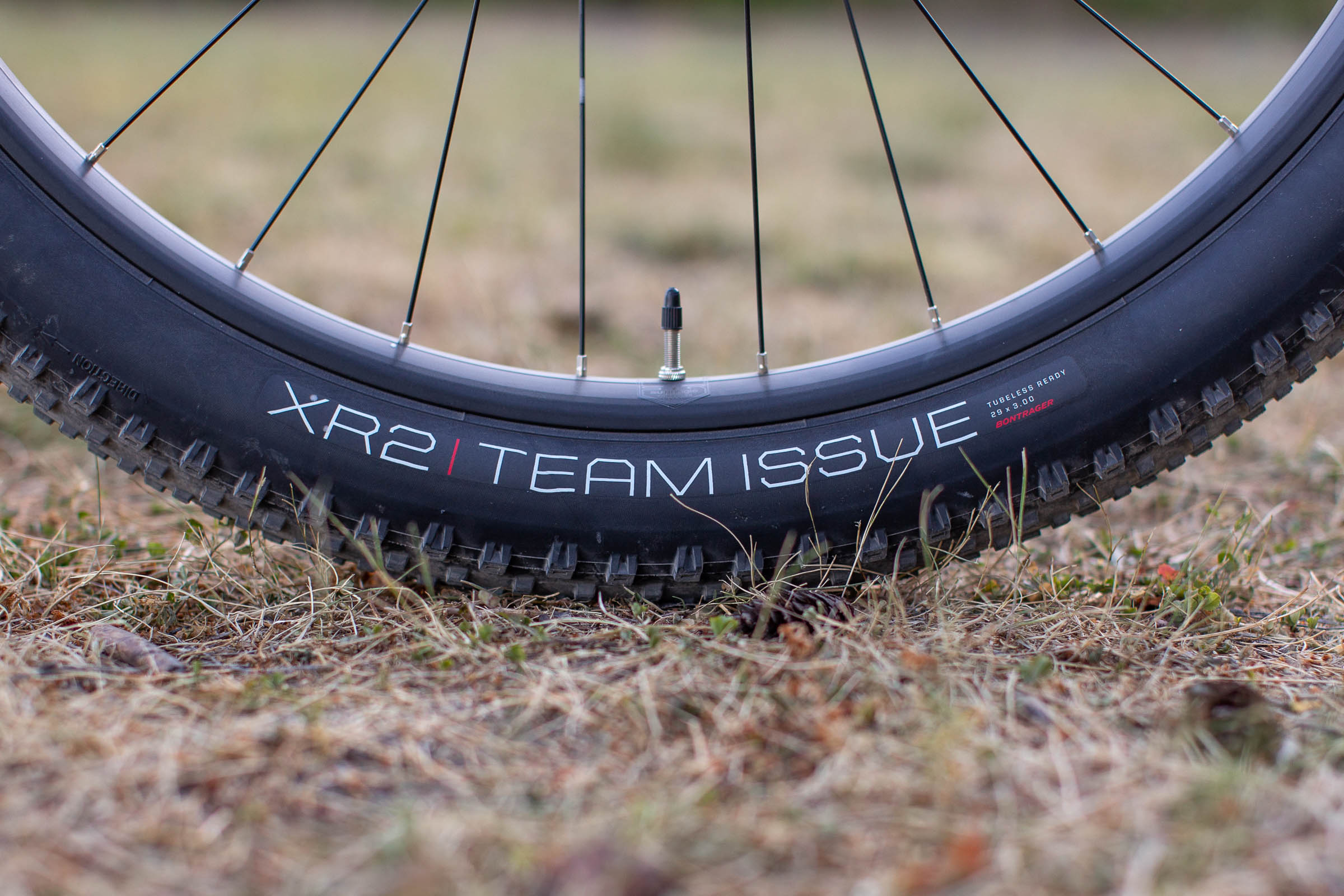 tubeless ready 29er tires