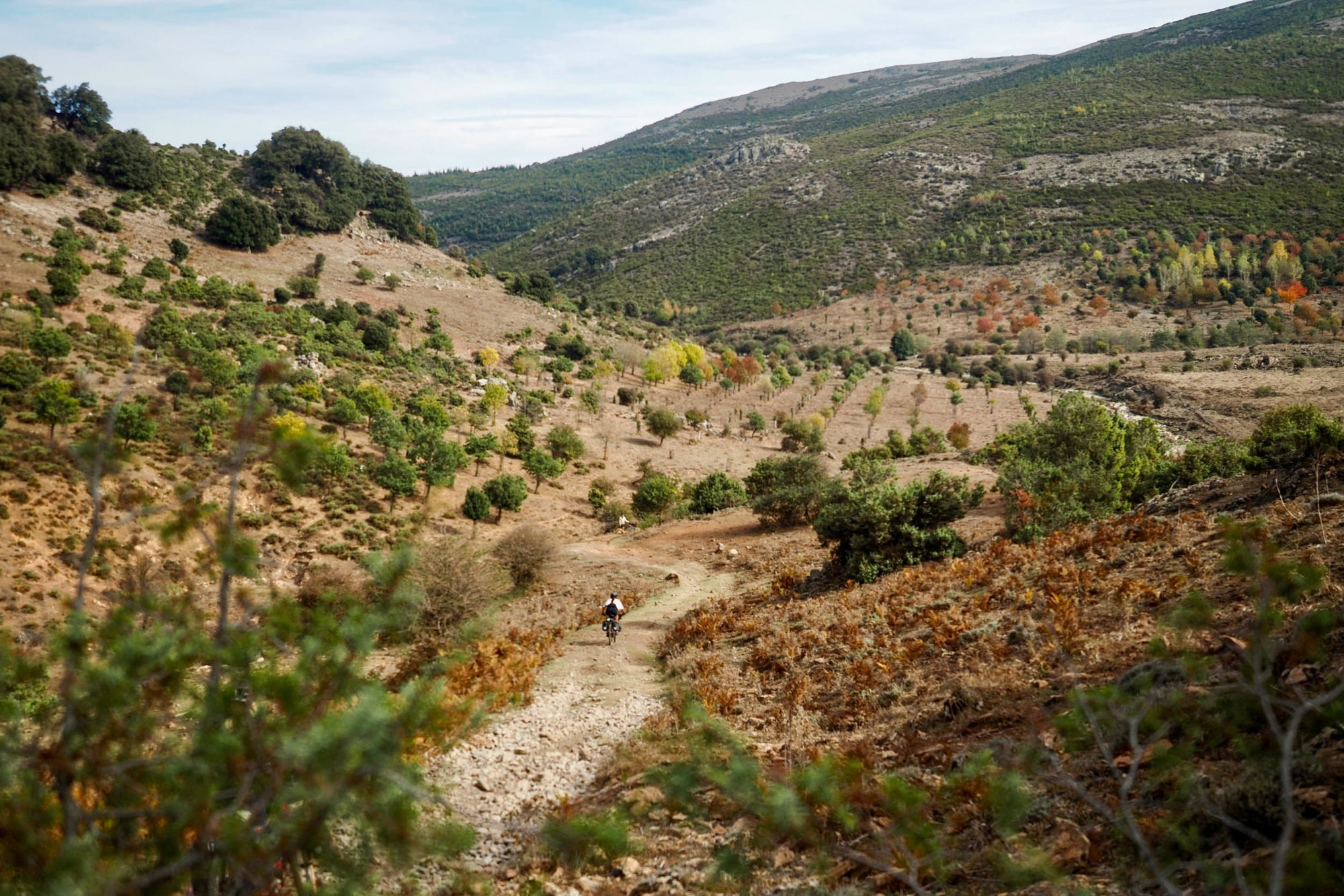 TranSardinia