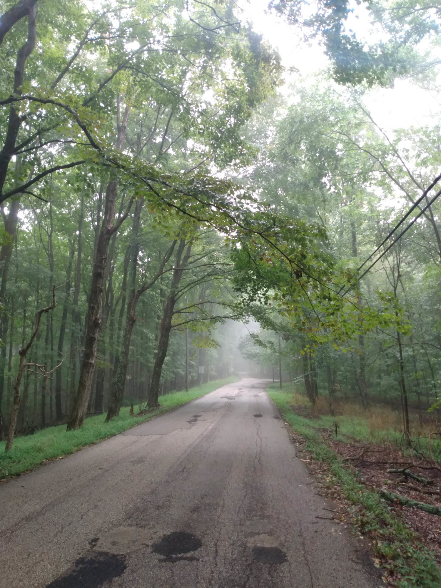 The Brown County Delight - BIKEPACKING.com