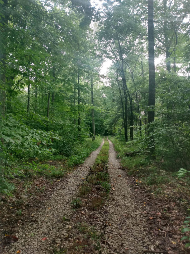 Brown County Delight, Bikepacking Indiana