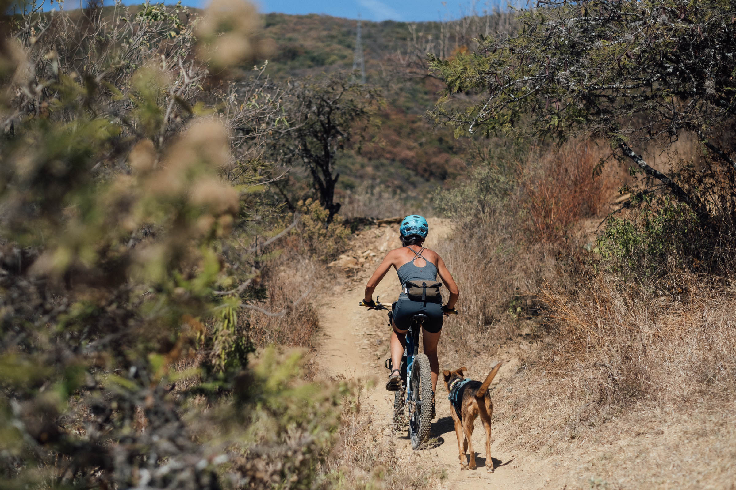 Singletrack Dogpacking with Huesos: Packlist + K9 Sportsack Review ...
