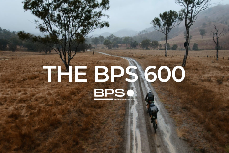 BPS 600 (2023)