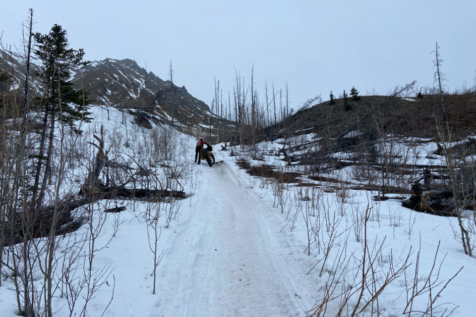 2022 Iditarod Trail