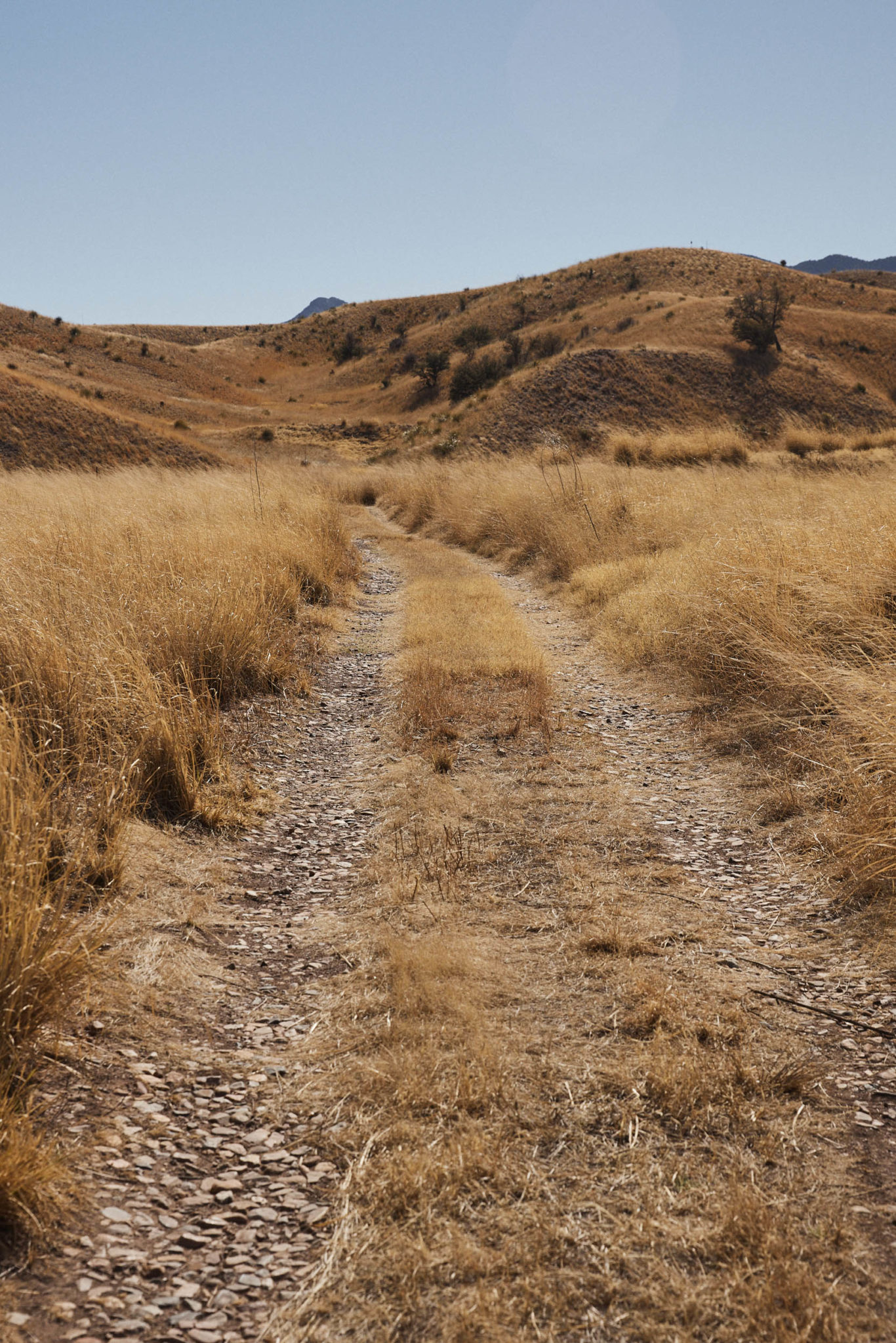 Chasing the Jaguar Reflections on Ruta del Jefe 2022