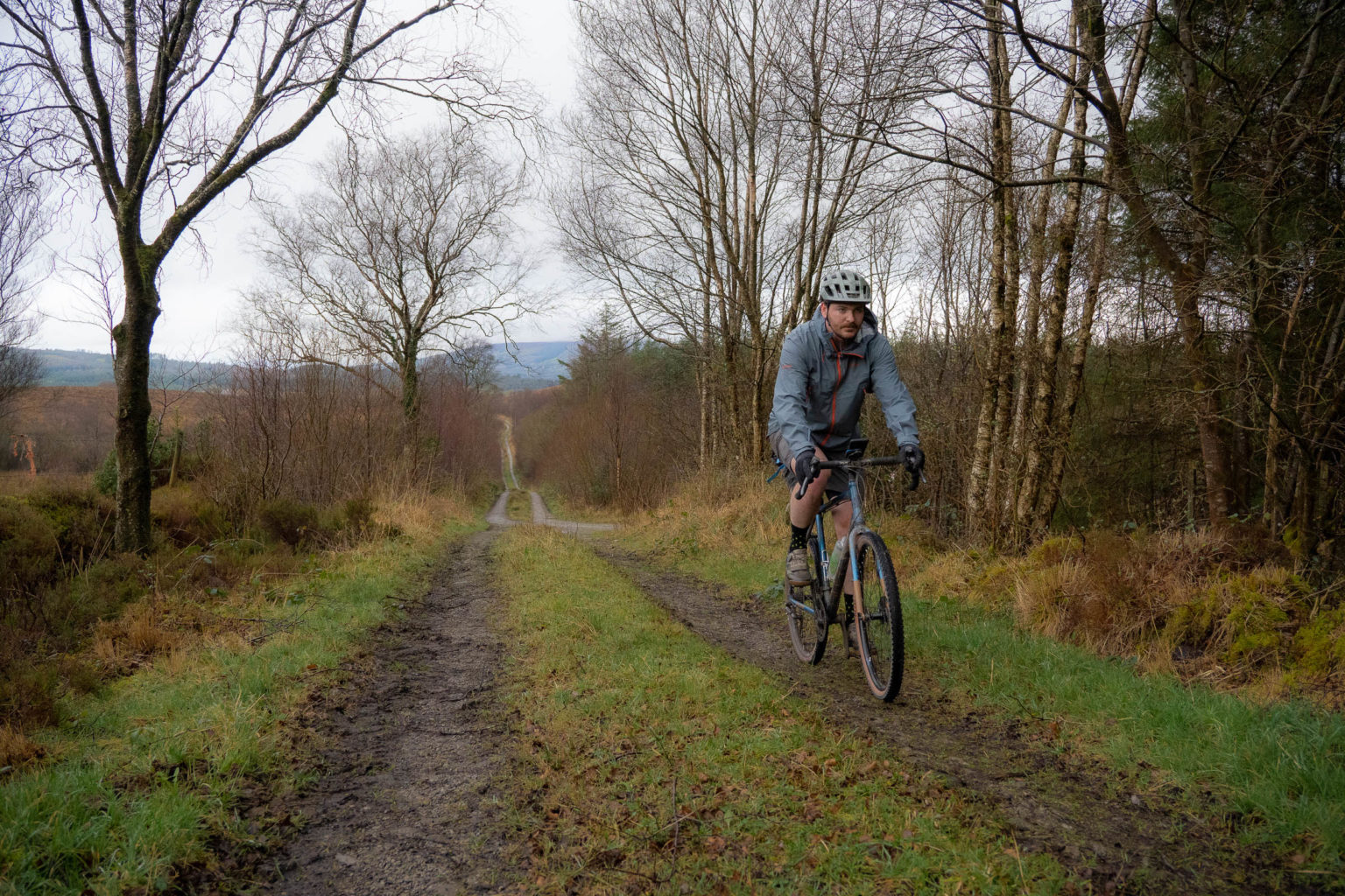 Lesser Spotted Ireland