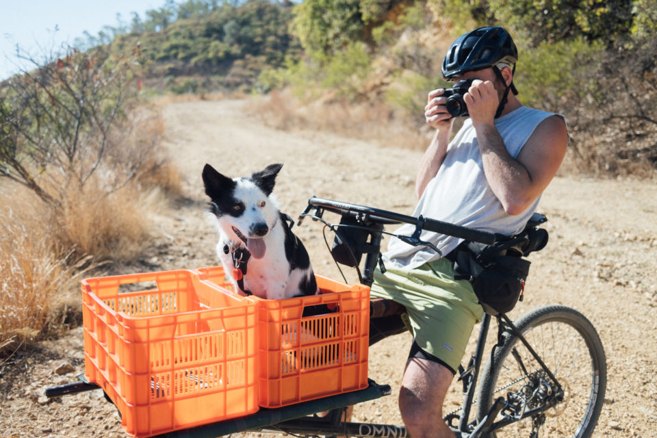 Cargodoggo Omnium Cargo Bike Dogpacking