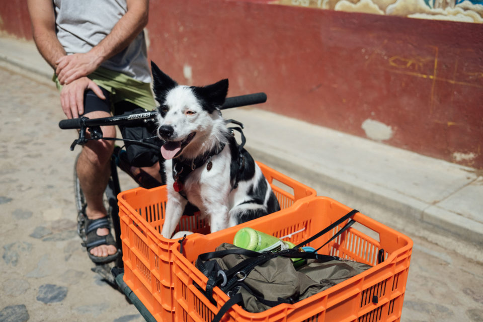Cargodoggo Omnium Cargo Bike Dogpacking