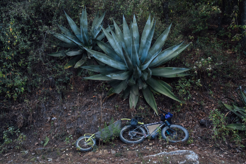 Giant Agaves and Permagrins on Oaxaca’s Micro Vuelta