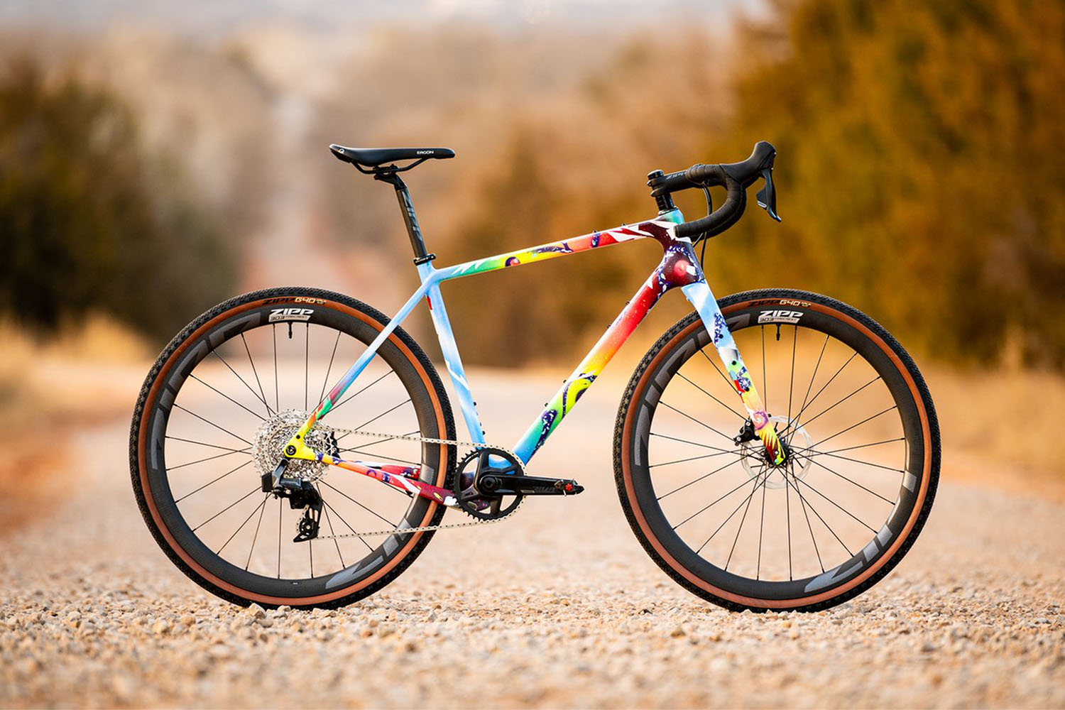 Gravel salsa online warbird