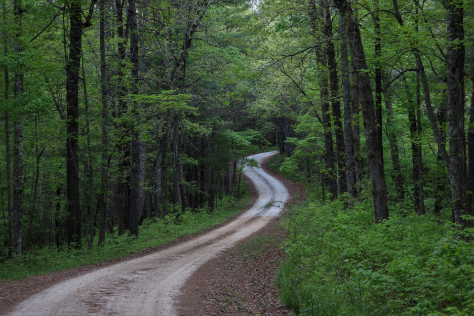 Chauga River Ramble, South Carolina Bikepacking Route