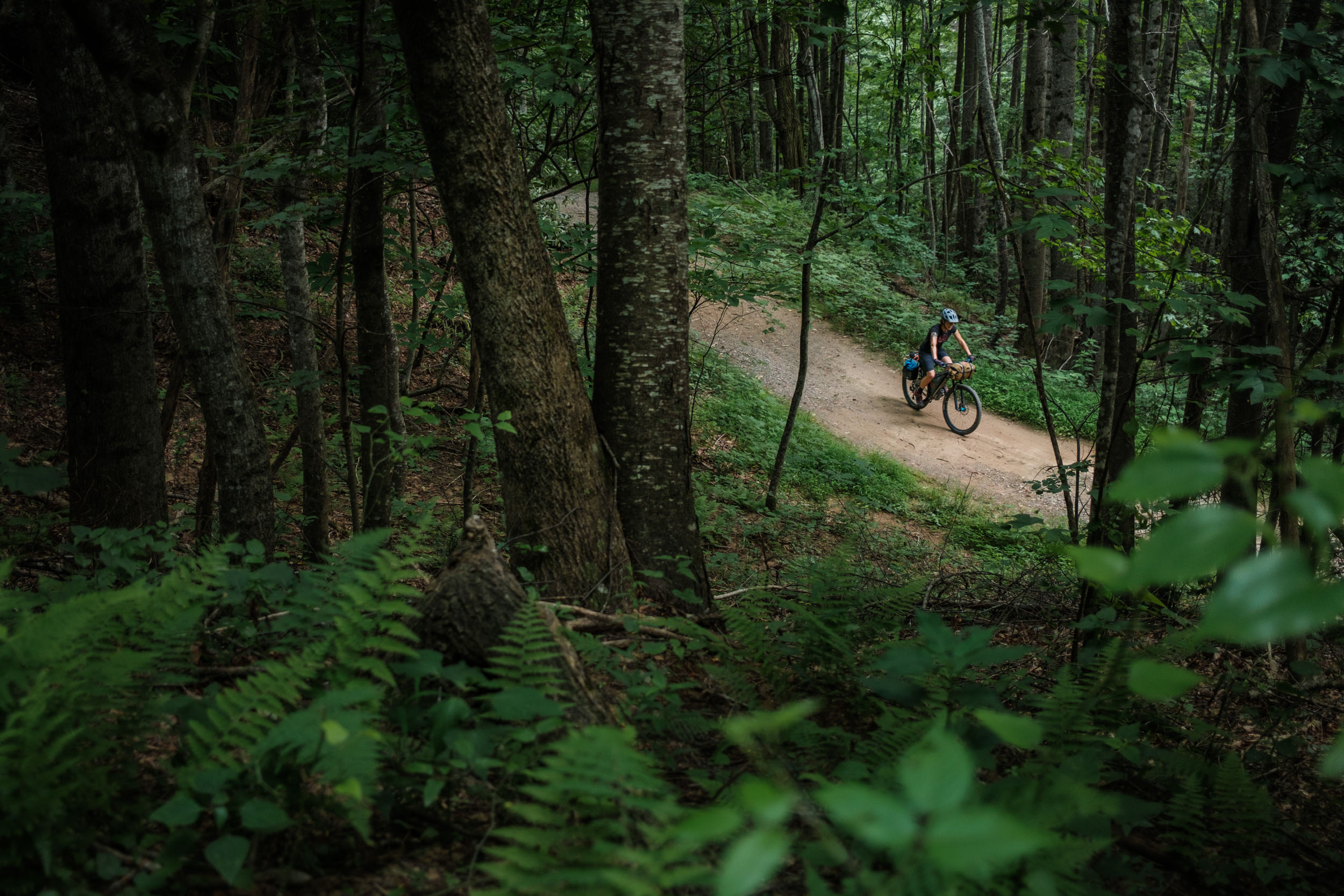 Eastern Divide Trail Segment 6, Blue Ghost