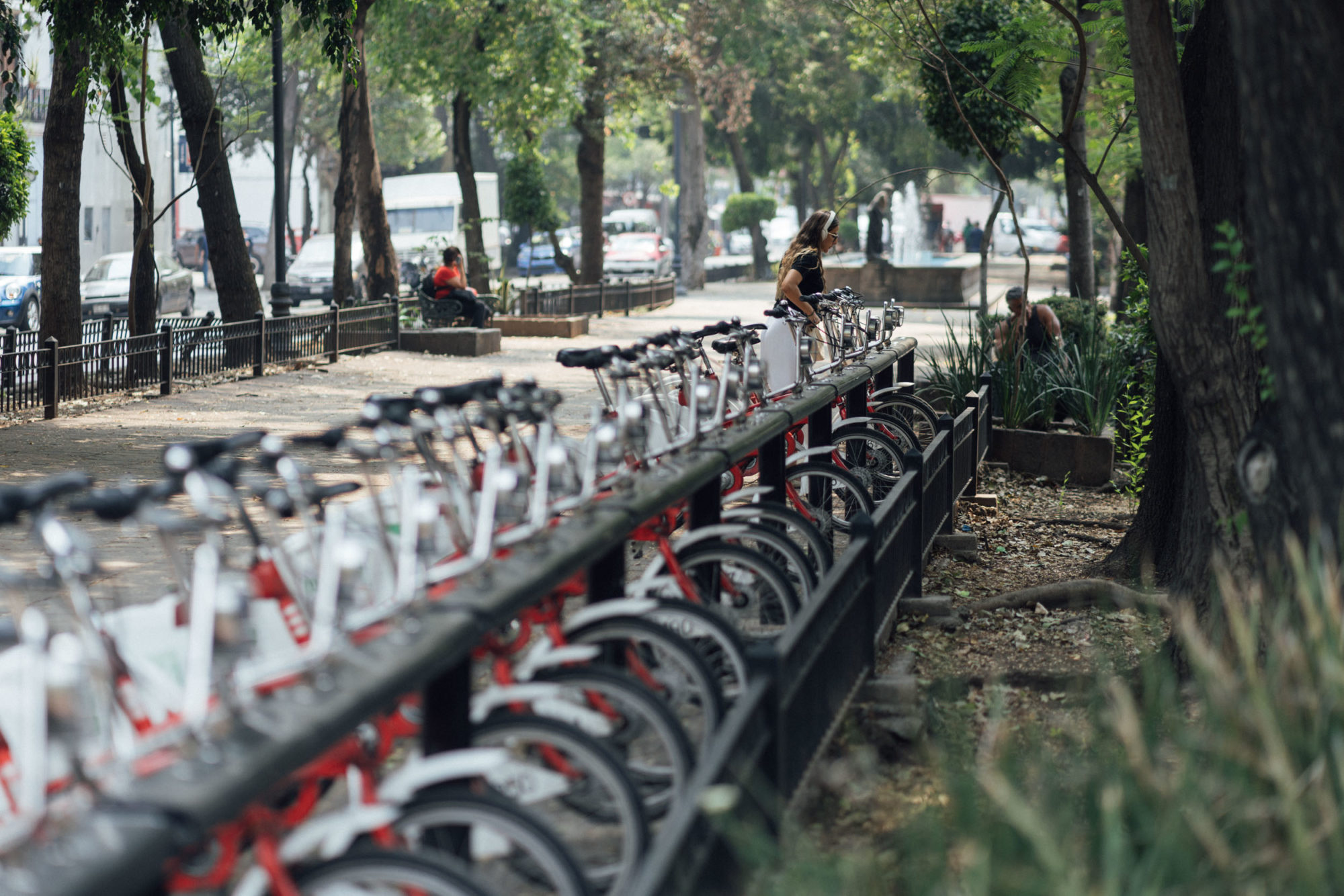Mexico City Cycling Scene