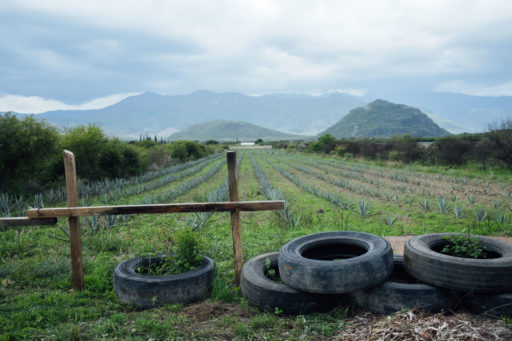 Vuelta A Los Pueblos Mancomunados, Oaxaca