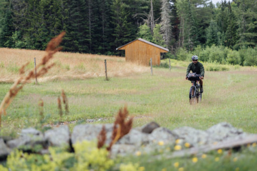 Eastern Divide Trail Segment 3, Lupine