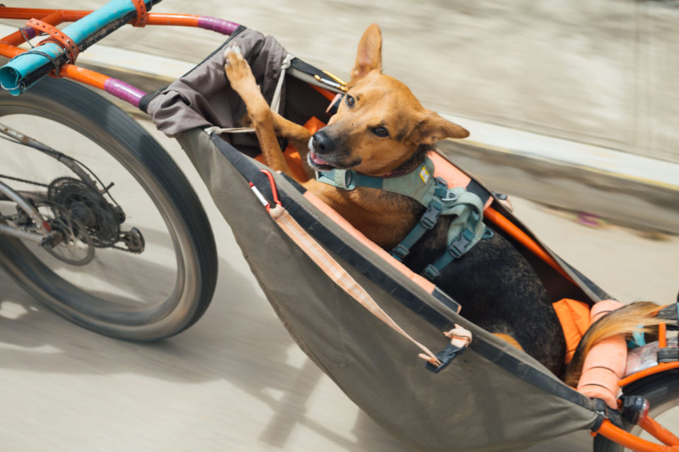 Bikepacking with a Trailer, List of Bicycle Trailers