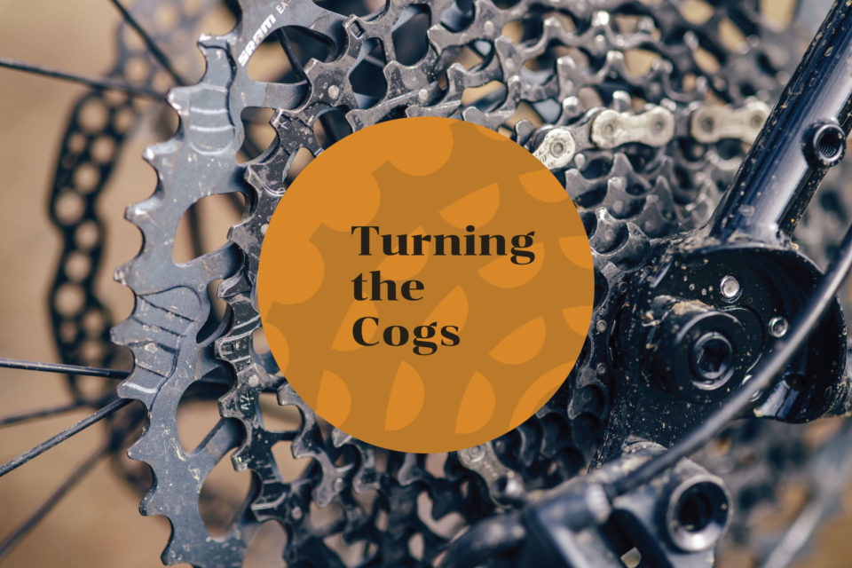 Take the Turning the Cogs Survey
