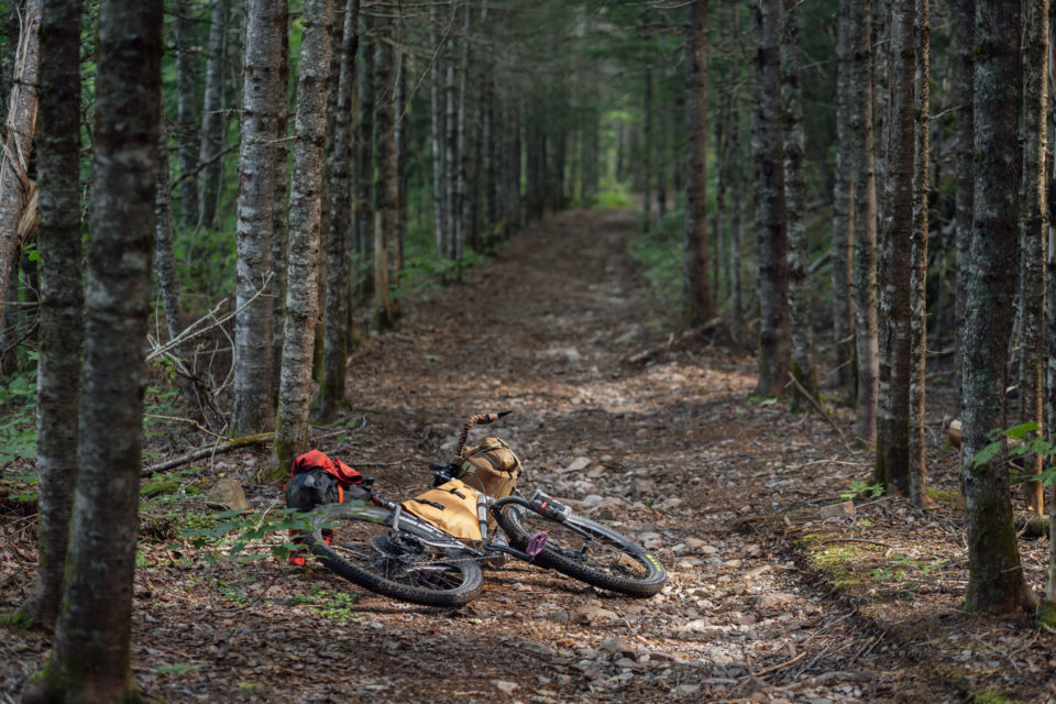 Eastern Divide Trail Segment 2 Tamarack
