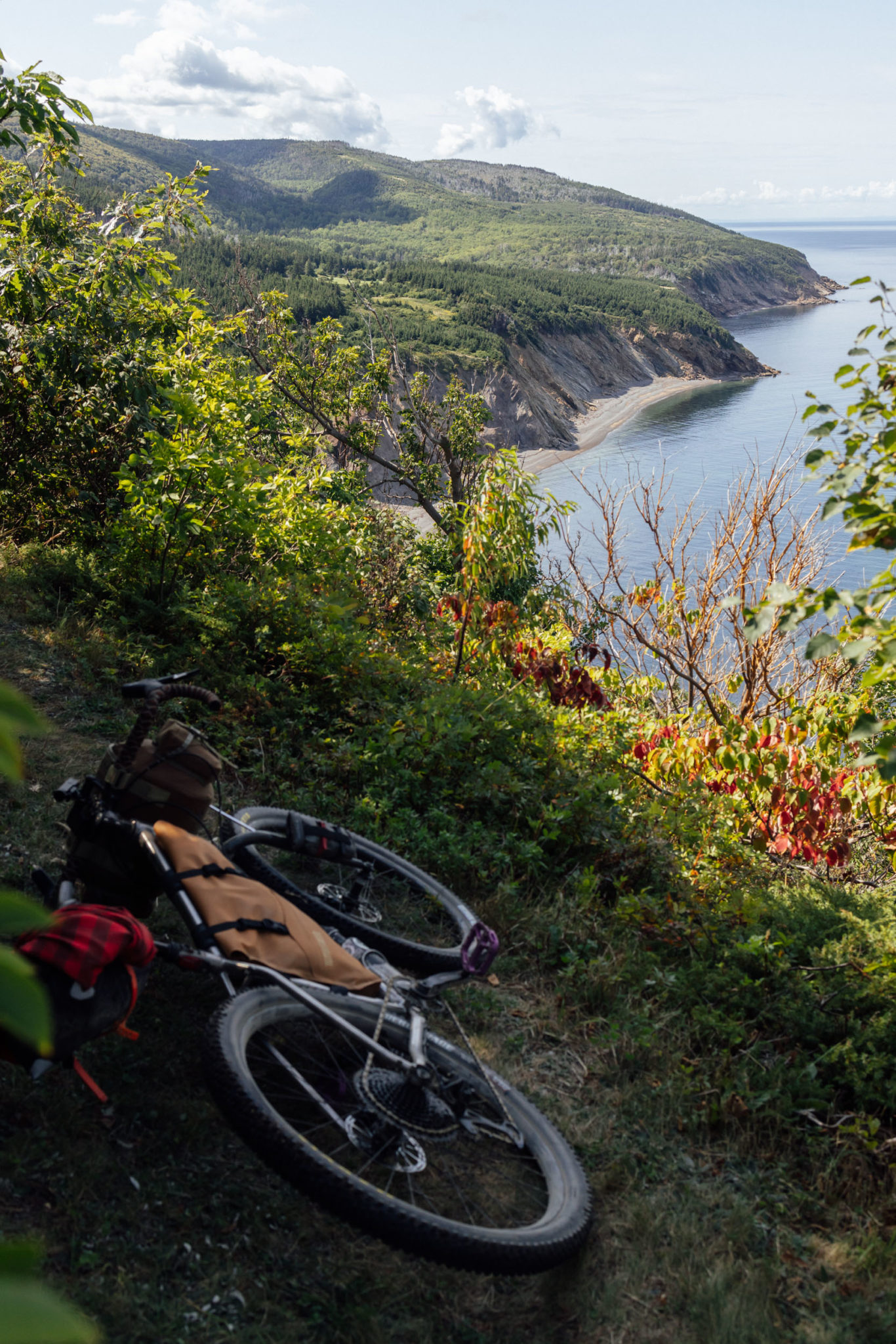 Eastern Divide Trail (S2) Tamarack