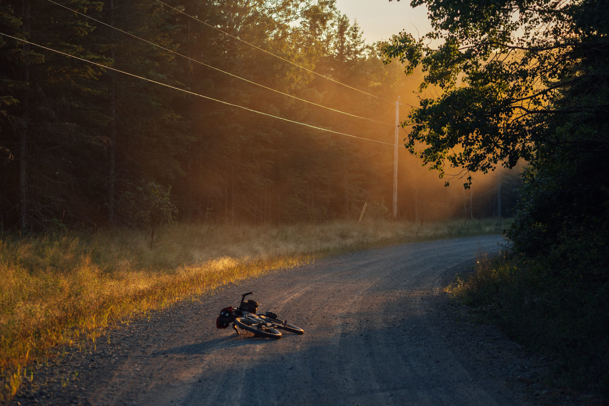 Eastern Divide Trail Segment 2 Tamarack