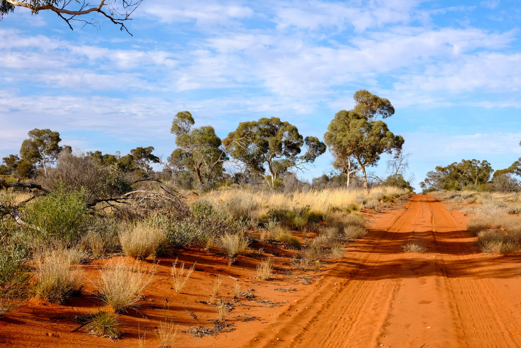 Dylan Kentch, Anne Beadell Highway, Australian Outback