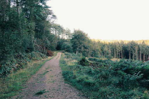 Old Chalk Way Bikepacking Route