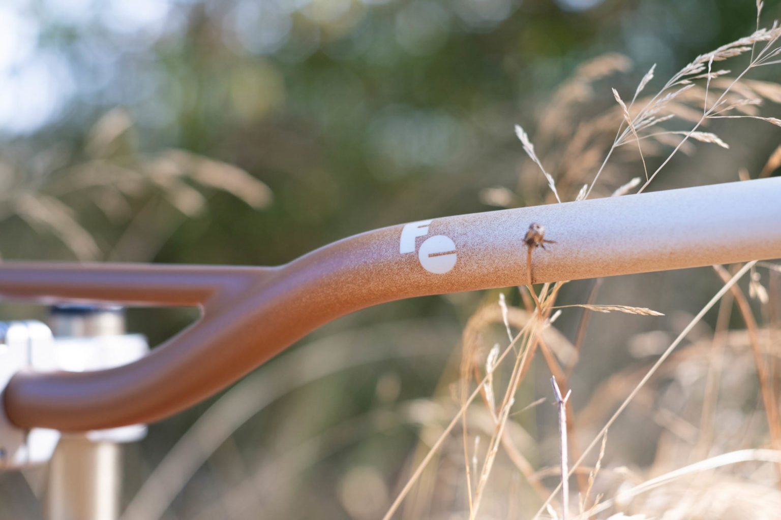 Preorders for the Forager Bolete Fade Oyster Bars Open Today