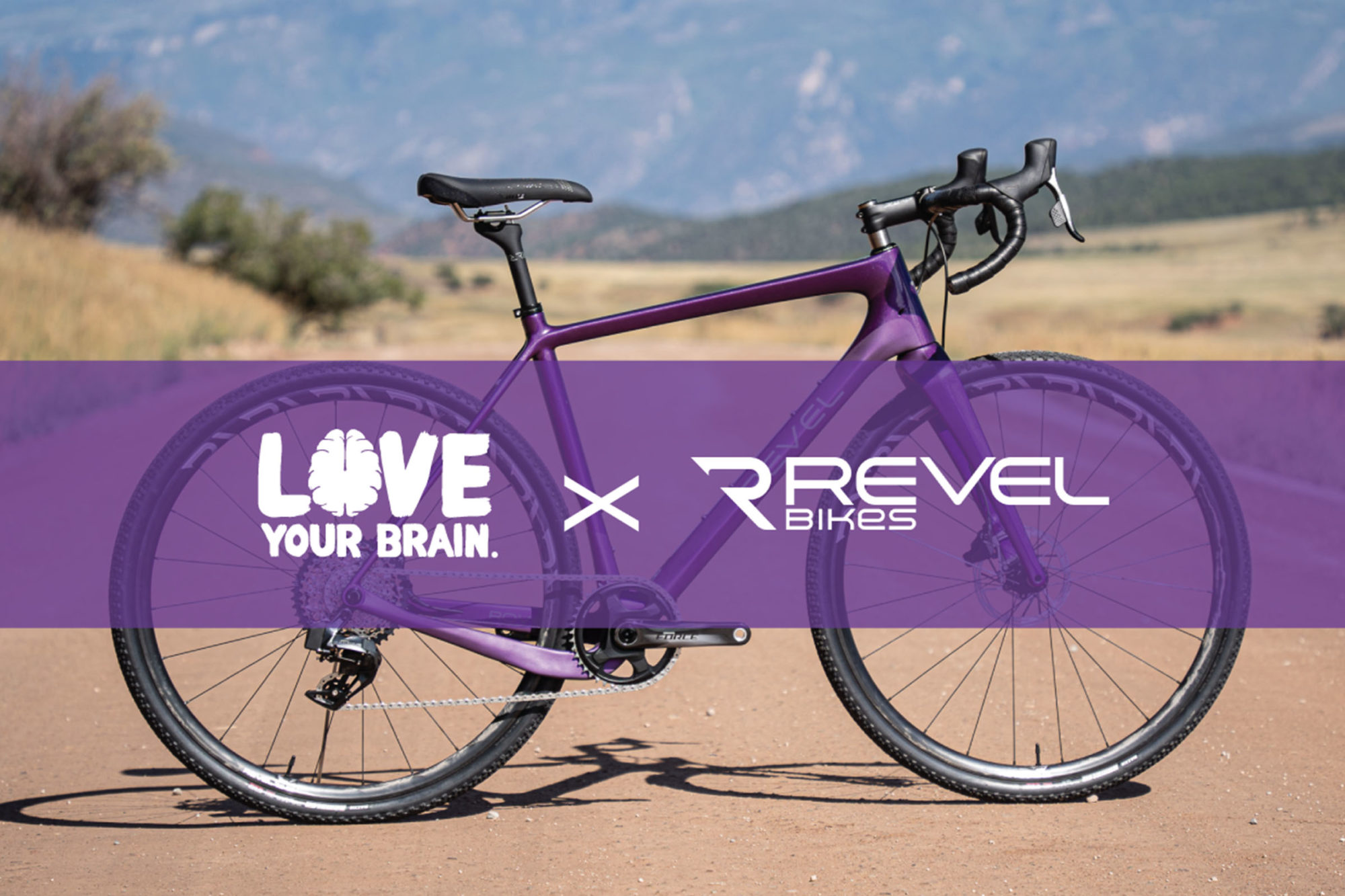 Revel Love your Brain
