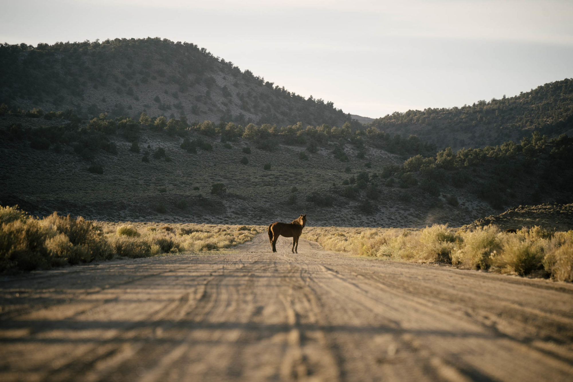 Caldera 500 bikepacking route